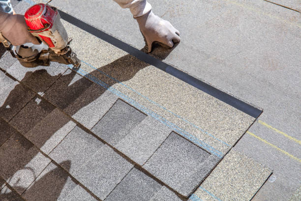 Best Roof Leak Repair  in Alexandria Bay, NY